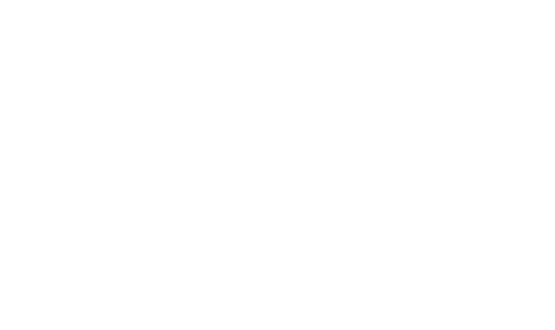logo etnies